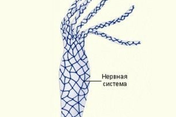 Кракен ссылка тор kraken014 com